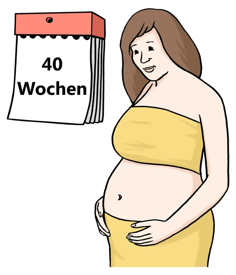 Grafik: Schwangere Frau, daneben Abbildung eines Kalenderblatts mit der Ziffer 40 darauf