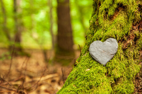 Wald mit Grab auf dem ein Herz liegt